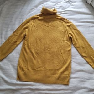 Everlane Cashmere Turtleneck